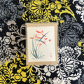 Indigo & Tangerine: Original Cards
