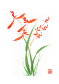 Orchid Notecard 1